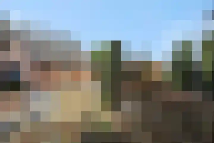 Griendtsveenseweg 29 Deurne thumbnail 39