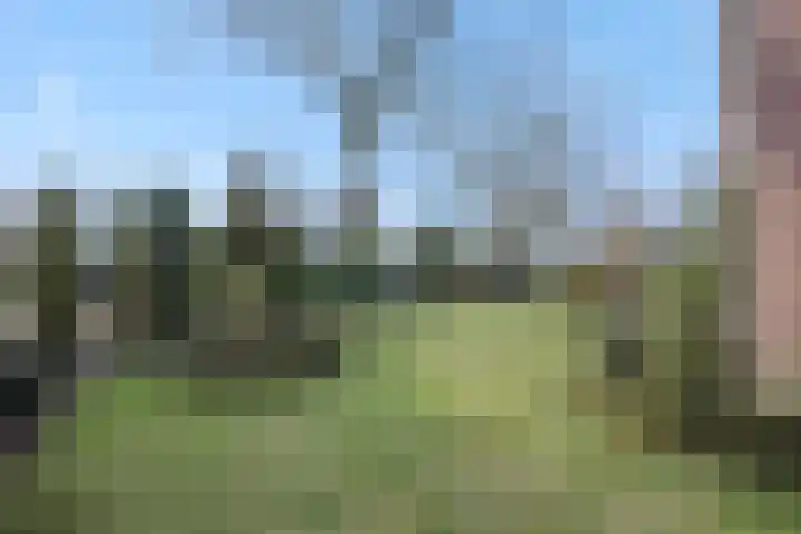 Griendtsveenseweg 29 Deurne thumbnail 44