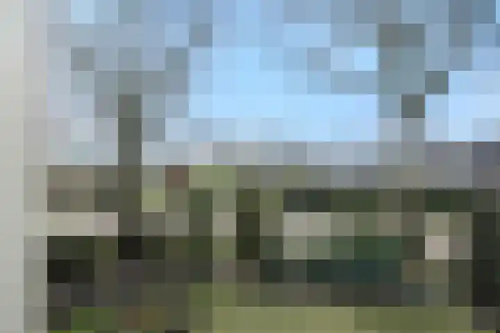 Griendtsveenseweg 29 Deurne thumbnail 45