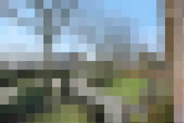 Griendtsveenseweg 29 Deurne thumbnail 46