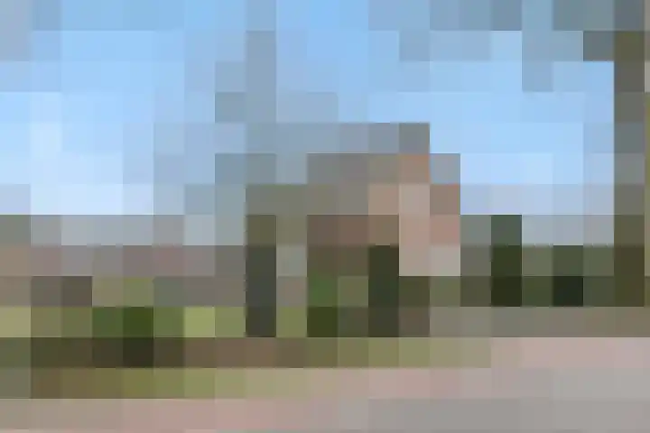 Griendtsveenseweg 29 Deurne thumbnail 47