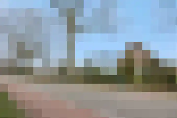 Griendtsveenseweg 29 Deurne thumbnail 50
