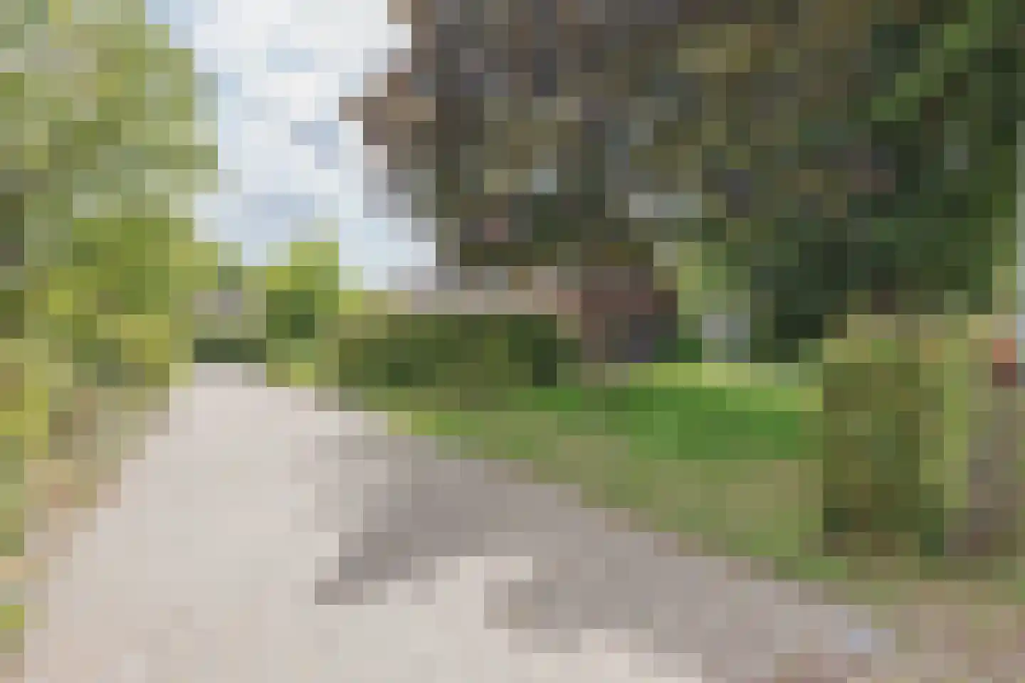 Griendtsveenseweg 47 America thumbnail 4