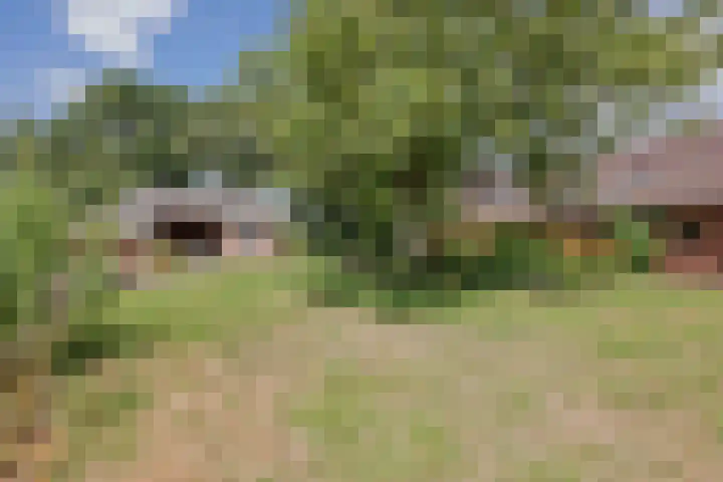 Griendtsveenseweg 47 America thumbnail 44