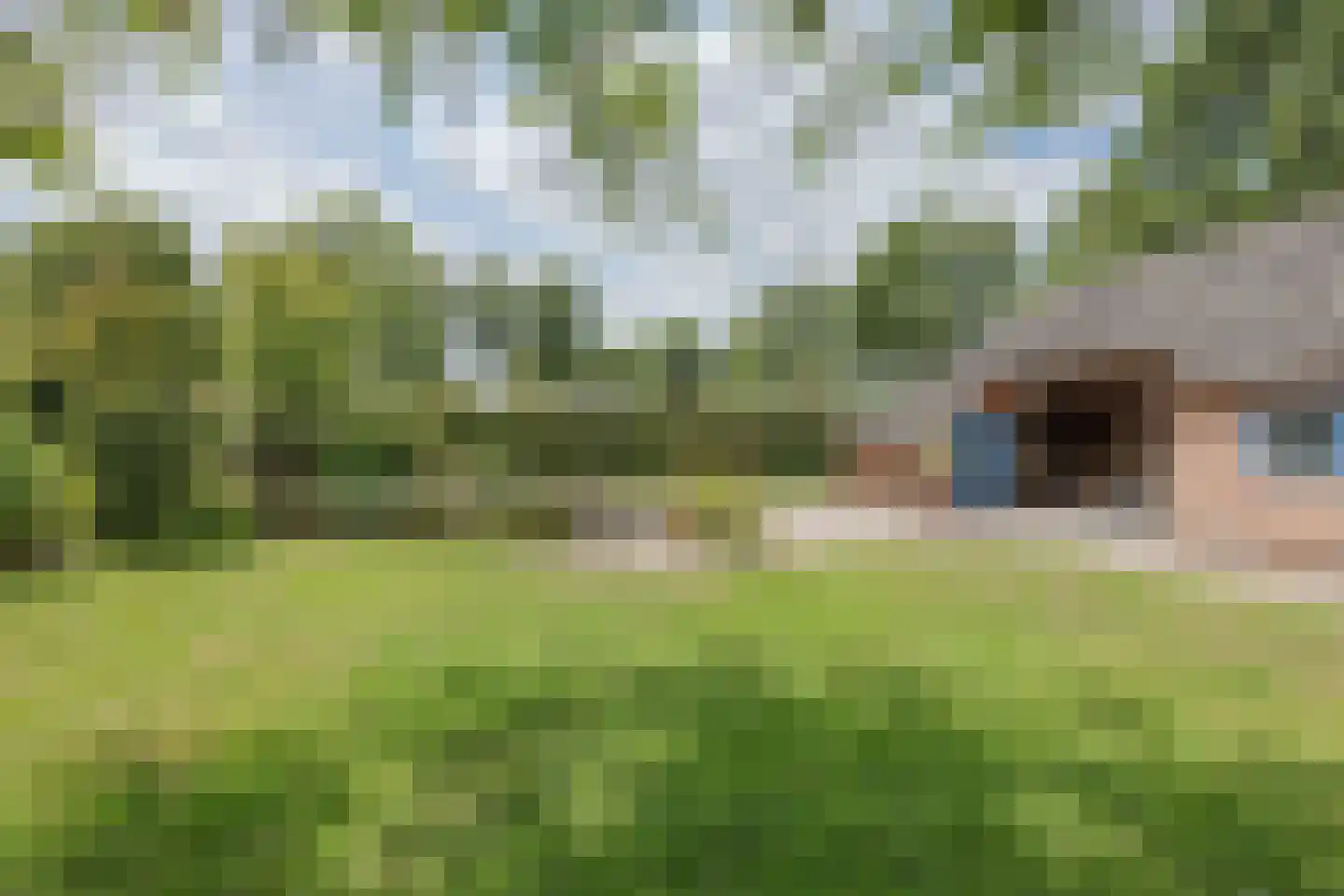 Griendtsveenseweg 47 America thumbnail 45