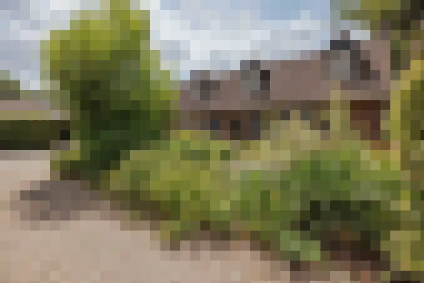Griendtsveenseweg 47 America thumbnail 5