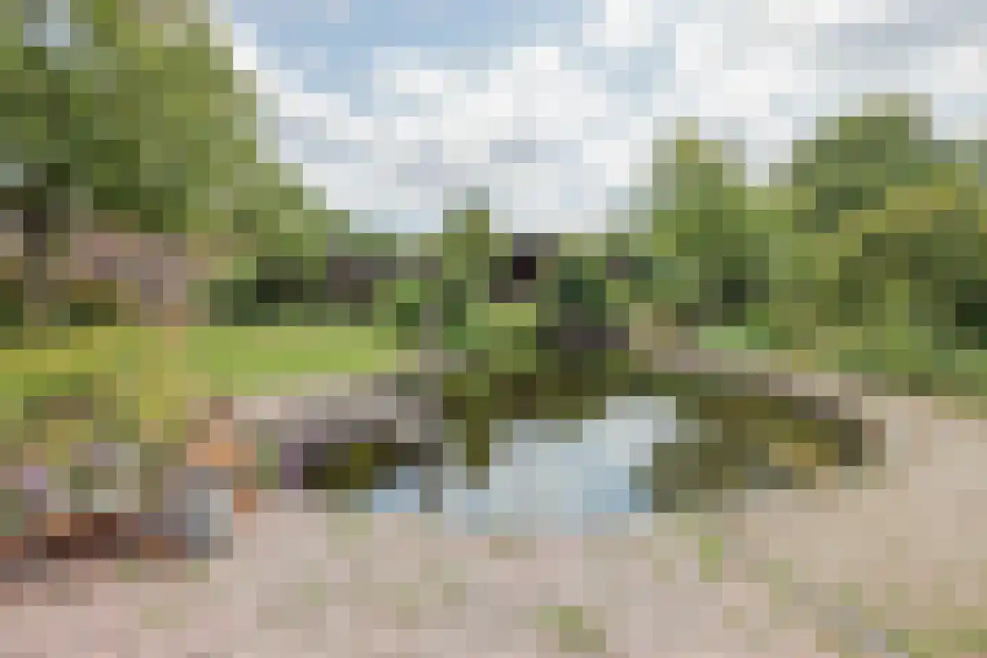 Griendtsveenseweg 47 America thumbnail 51