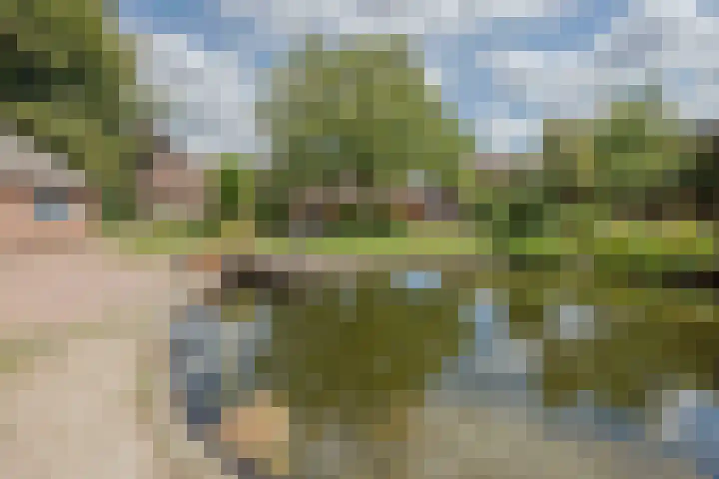Griendtsveenseweg 47 America thumbnail 54