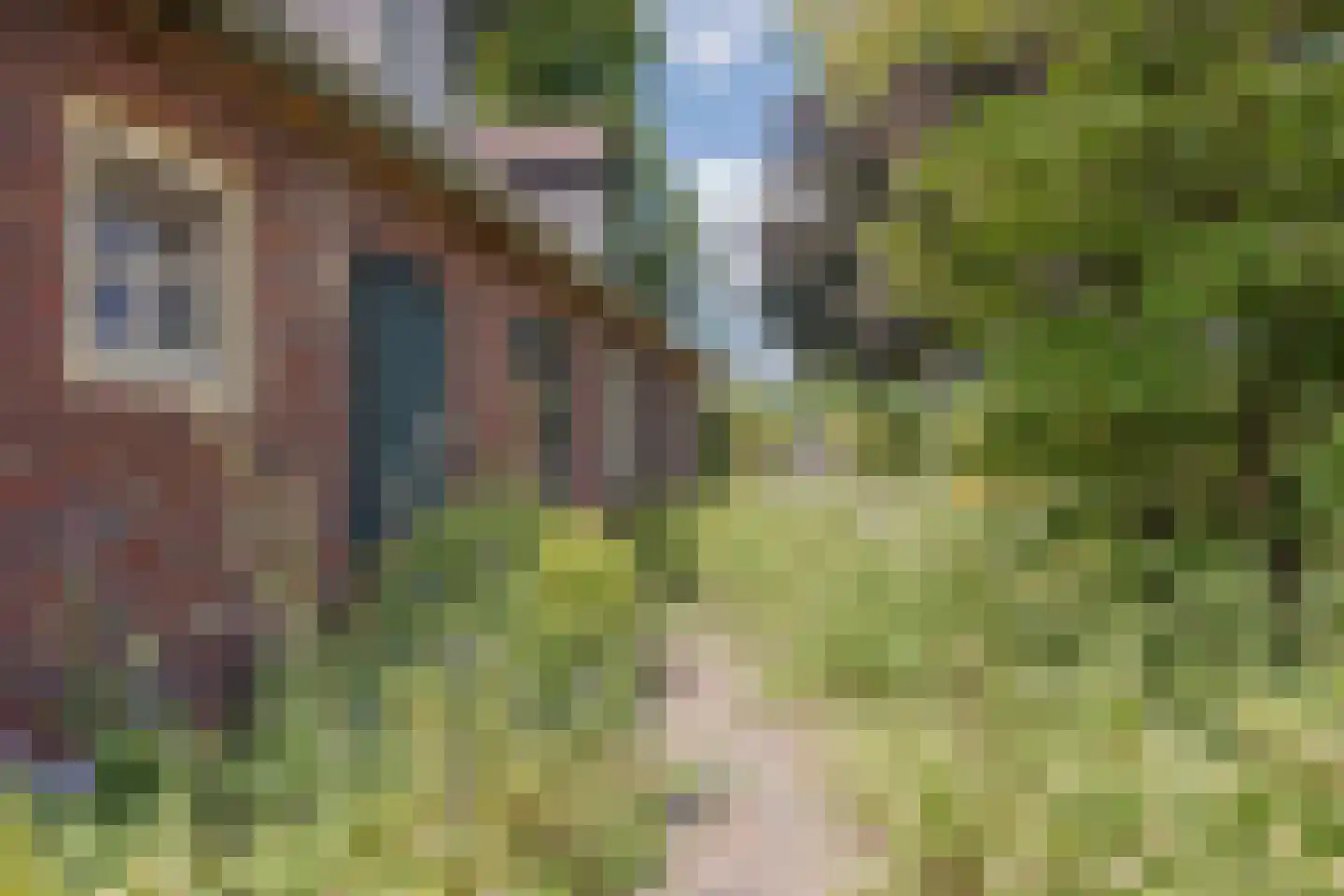 Griendtsveenseweg 47 America thumbnail 60