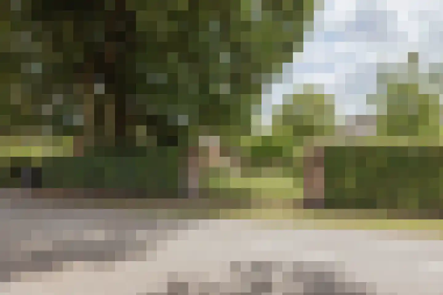 Griendtsveenseweg 47 America thumbnail 61