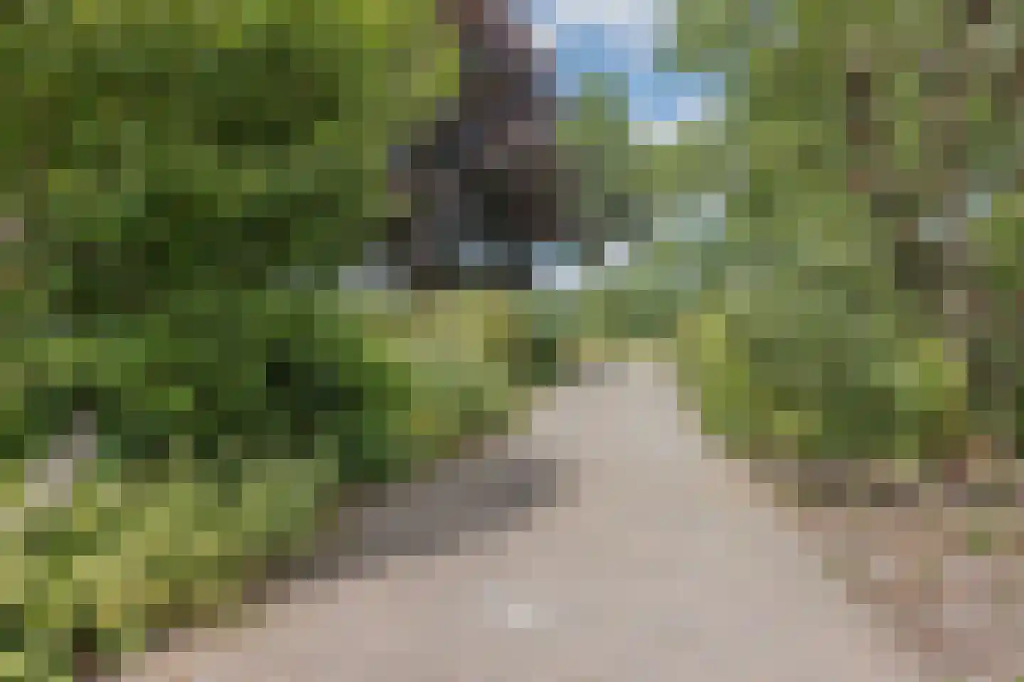 Griendtsveenseweg 47 America thumbnail 62