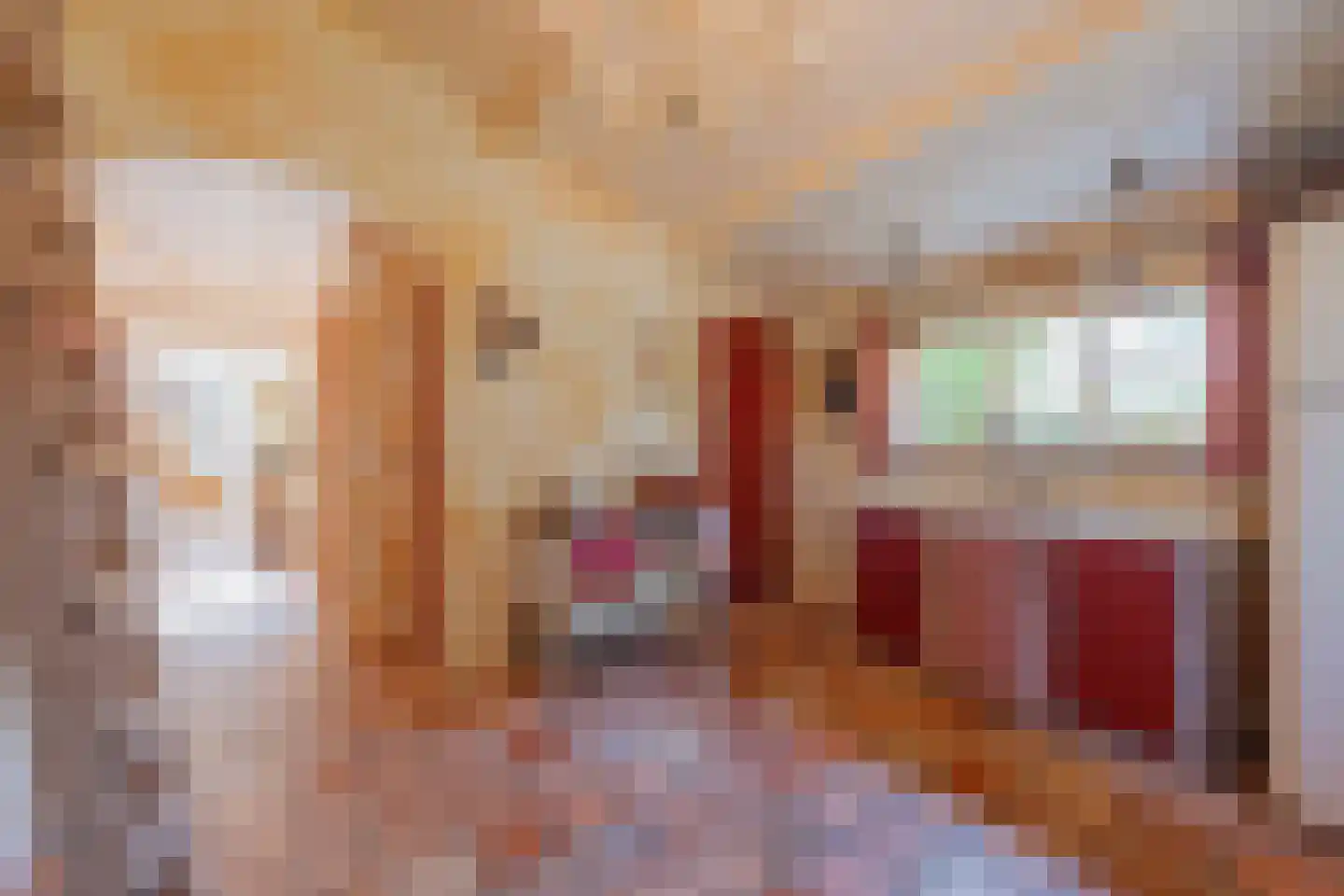 Griendtsveenseweg 47 America thumbnail 9