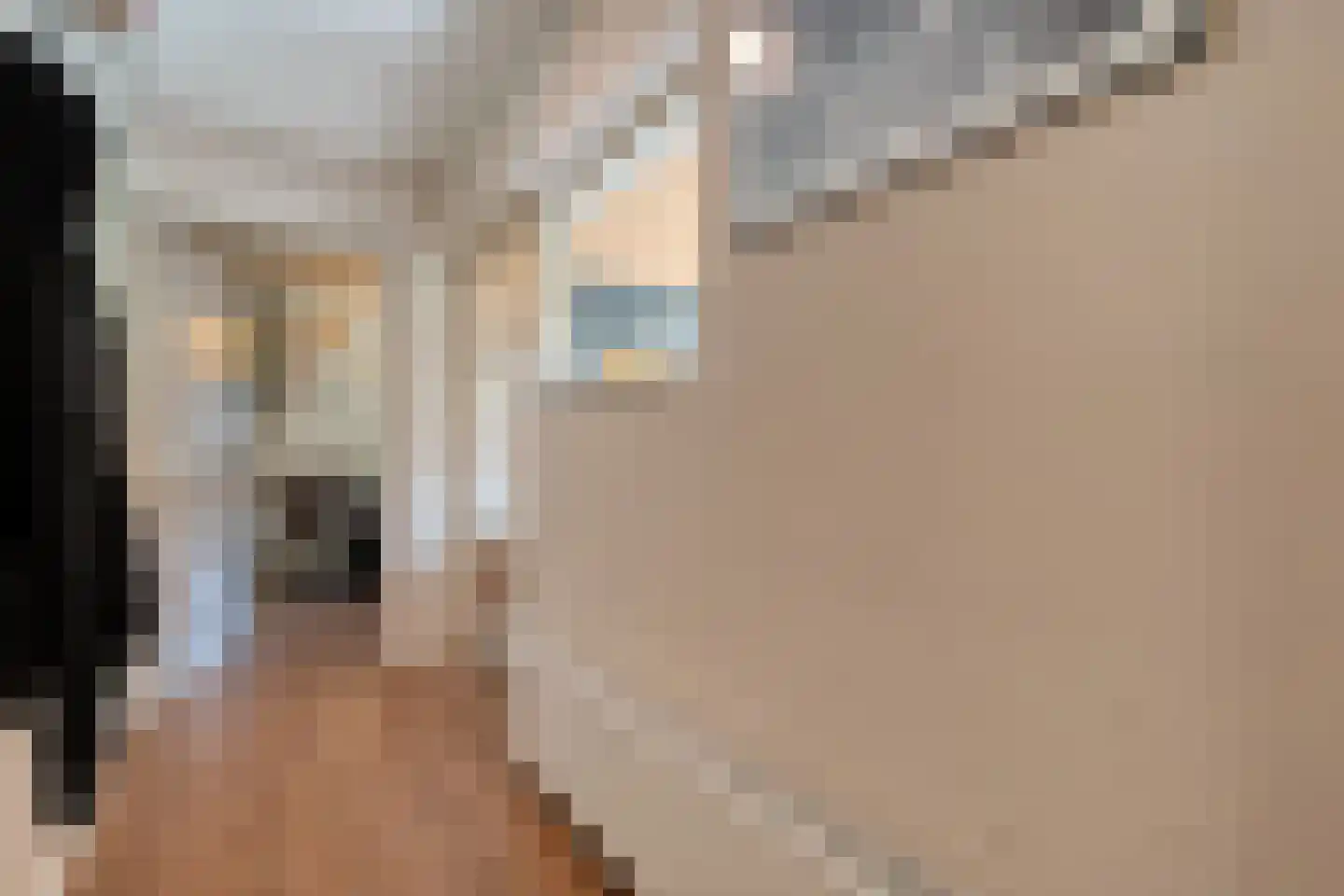 Griendtsveenstraat 51 Erica thumbnail 19