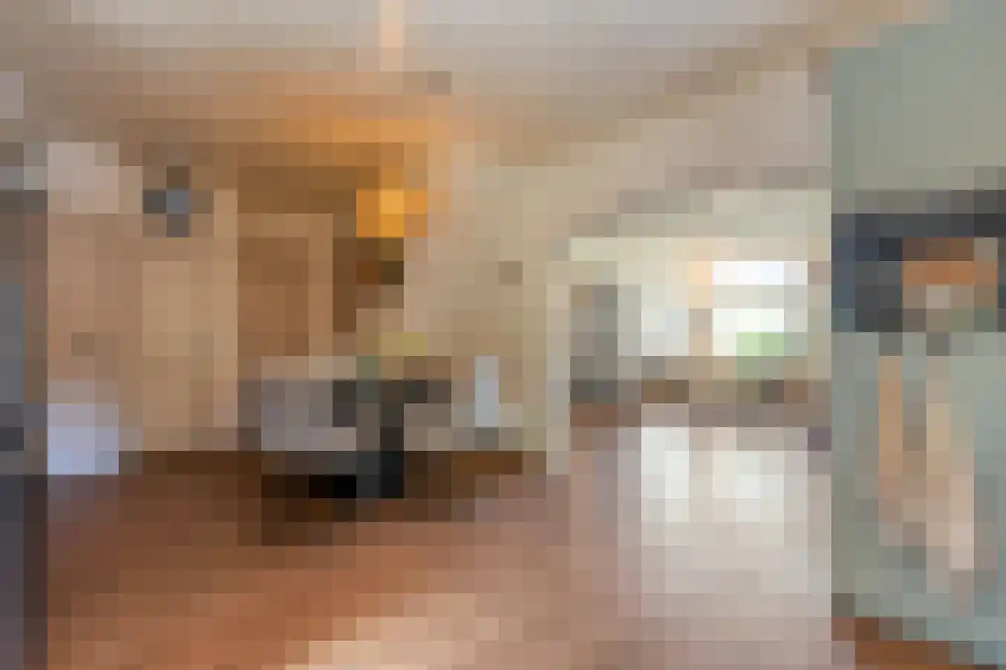 Griendtsveenstraat 51 Erica thumbnail 24