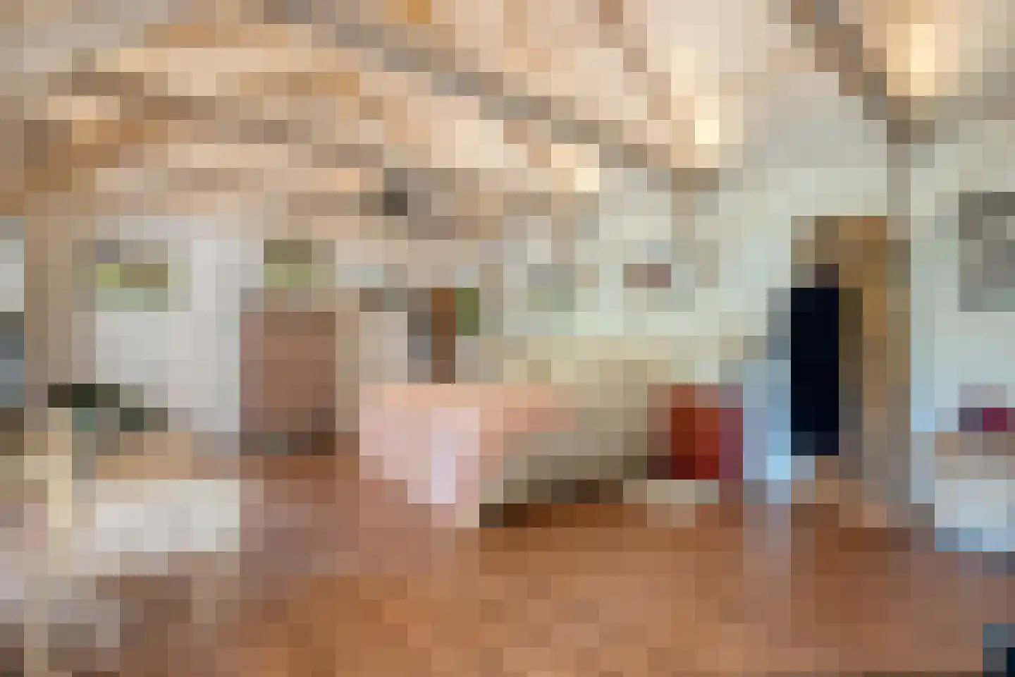Griendtsveenstraat 51 Erica thumbnail 26