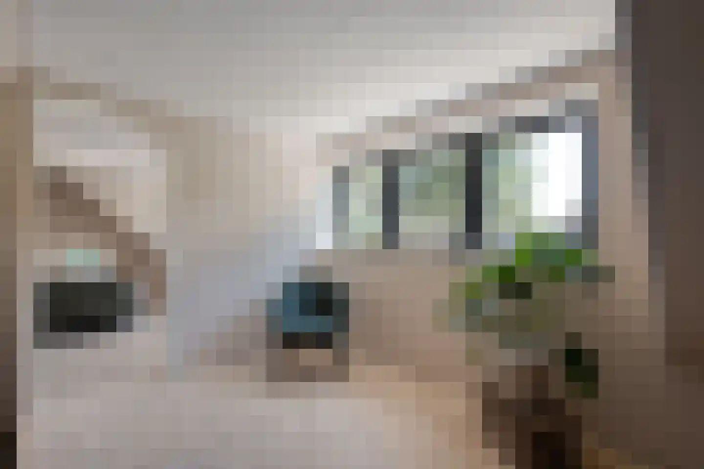 Griendtsveenstraat 51 Erica thumbnail 33