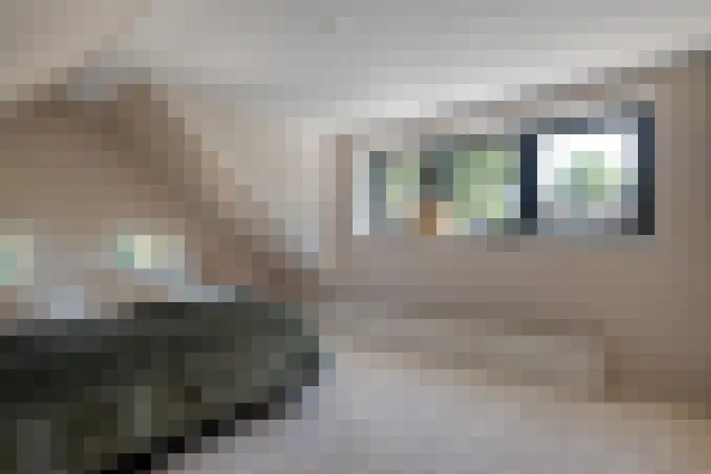 Griendtsveenstraat 51 Erica thumbnail 34
