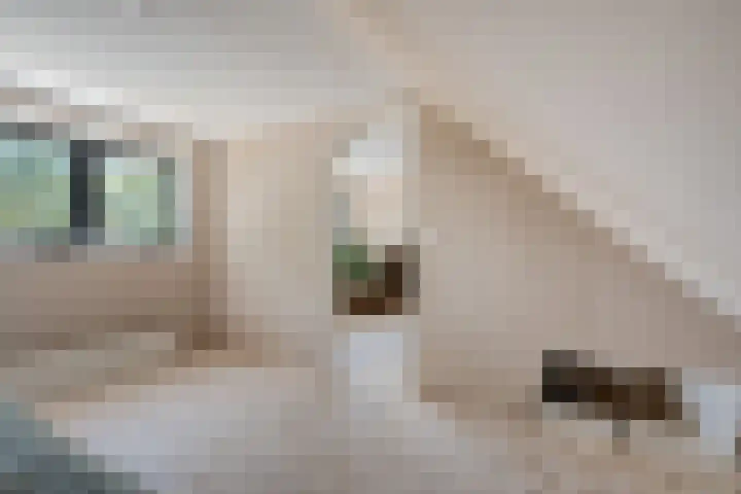 Griendtsveenstraat 51 Erica thumbnail 35