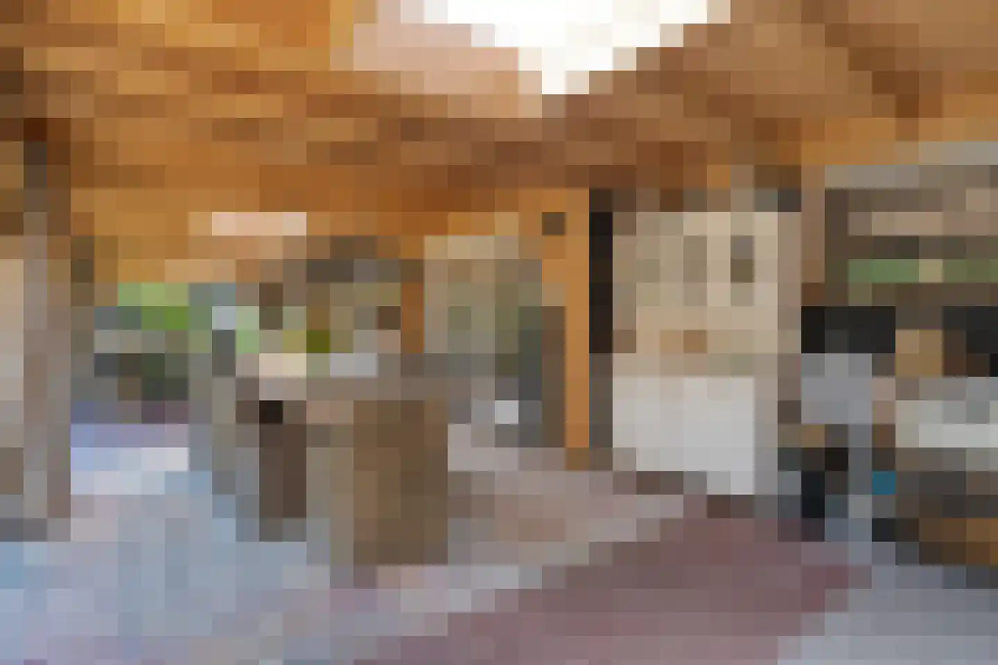 Griendtsveenstraat 51 Erica thumbnail 39