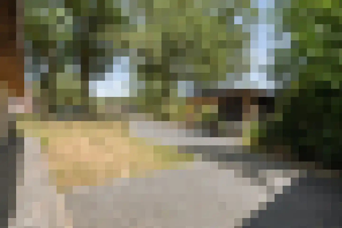 Griendtsveenstraat 51 Erica thumbnail 62