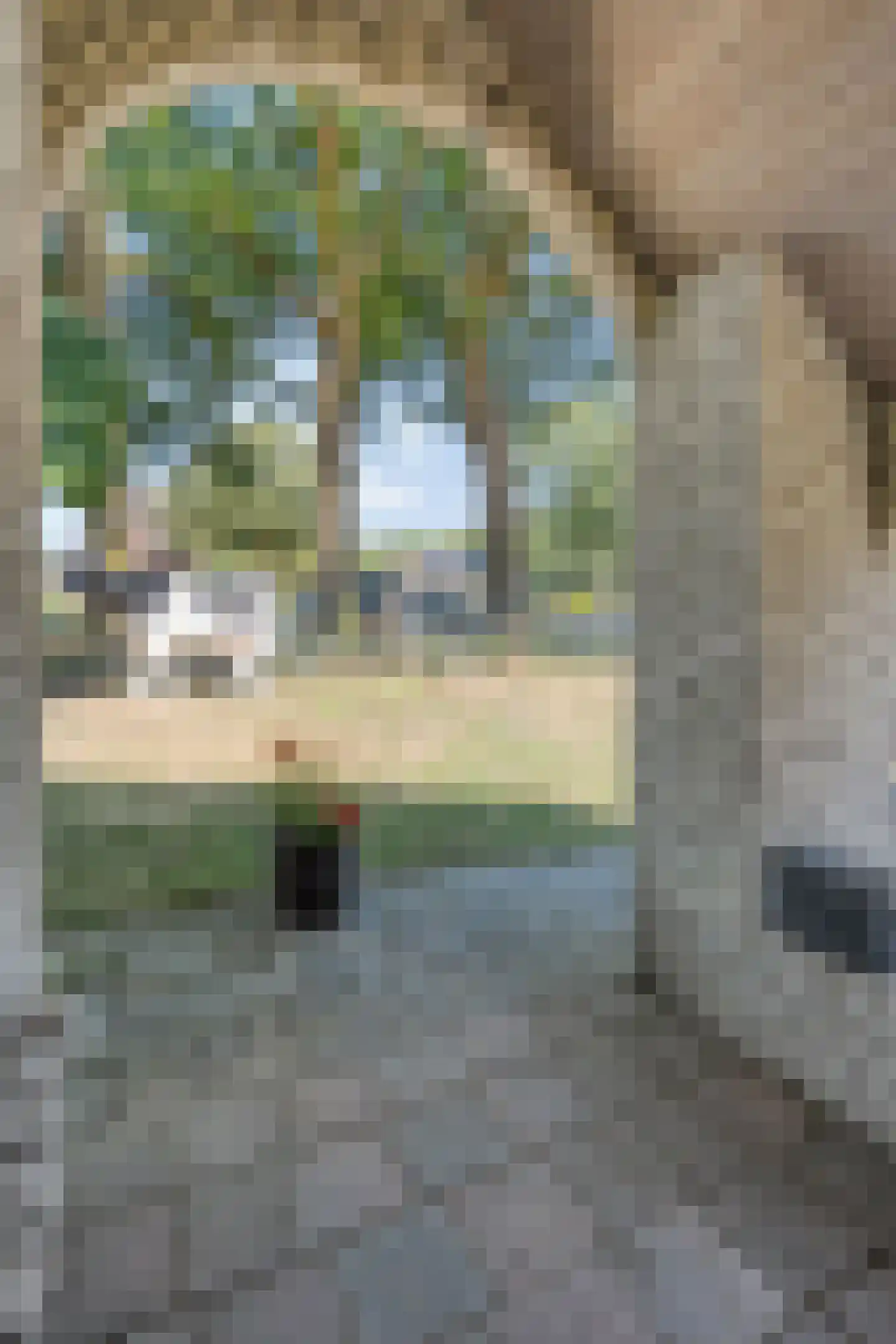 Griendtsveenstraat 51 Erica thumbnail 85