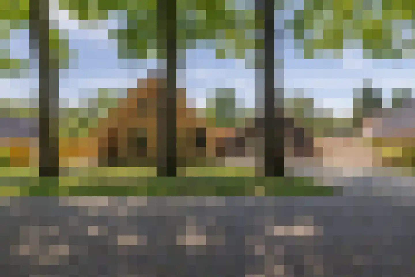 Griendtsveenstraat 75 Erica thumbnail 70