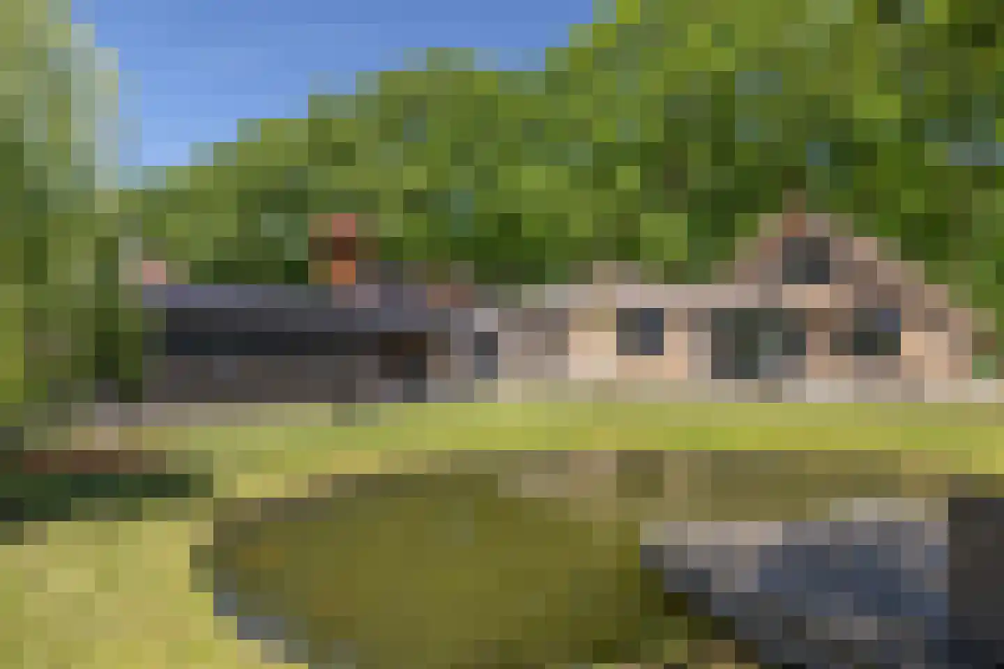 Griendtsveenstraat 75 Erica thumbnail 9
