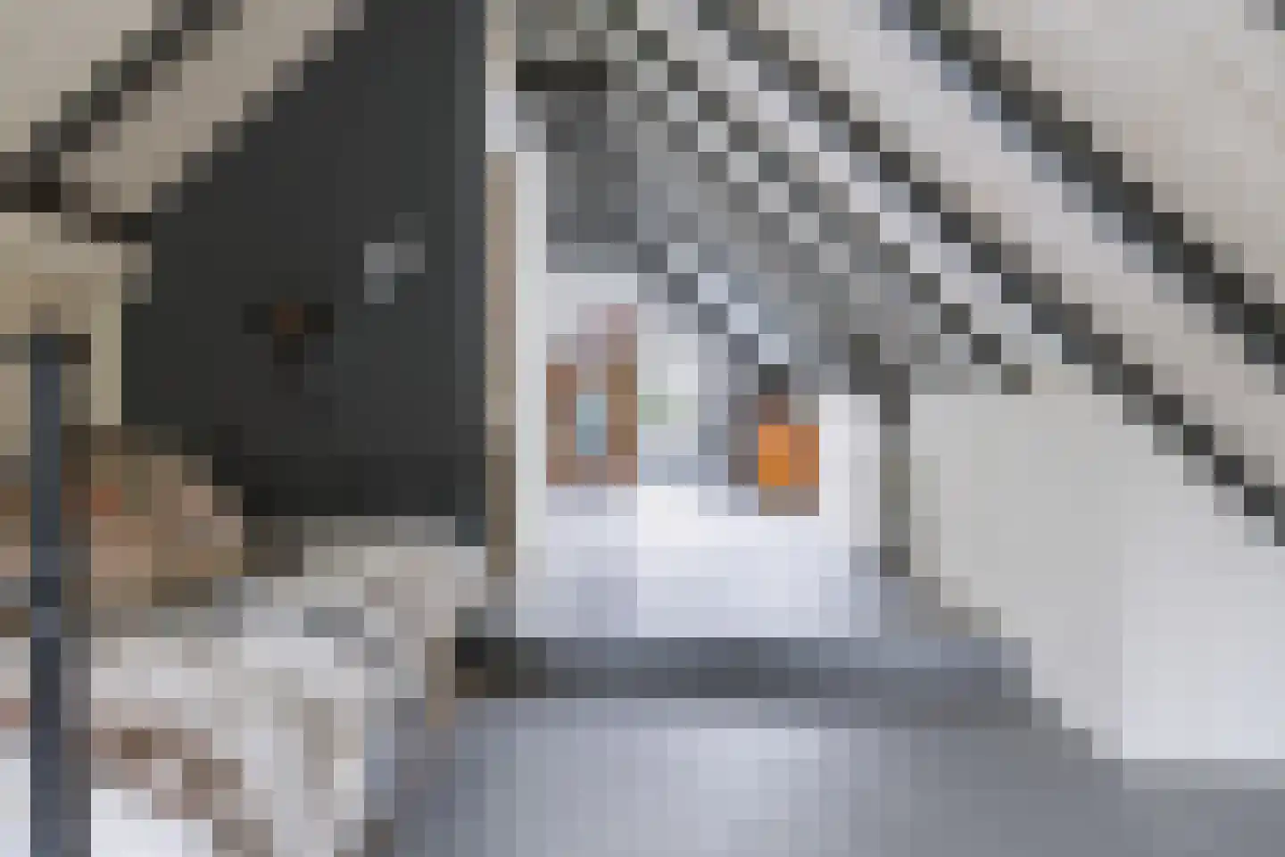 Griendtsveenstraat 80 Erica thumbnail 47