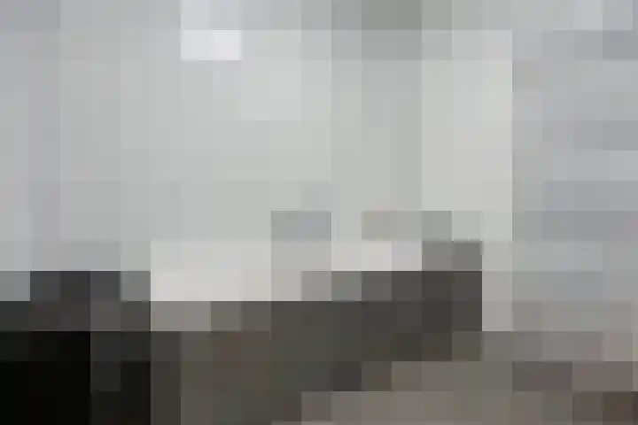 Griendweg 2 Nieuw-Beijerland thumbnail 21