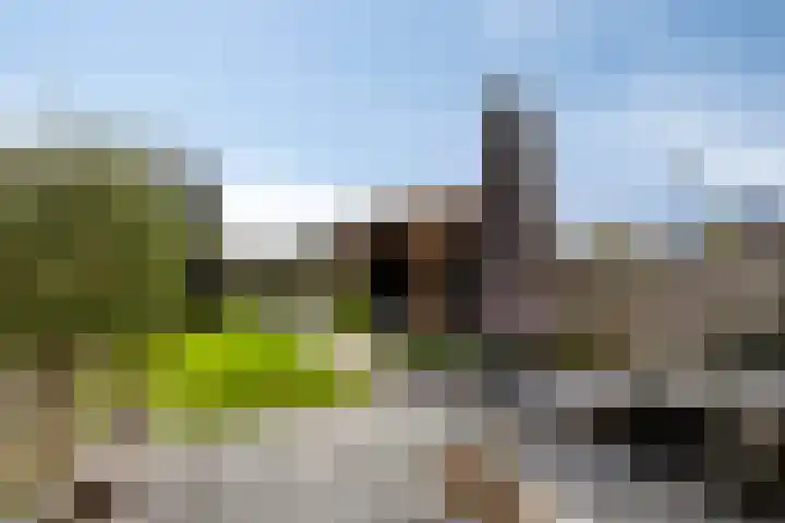 Griendweg 2 Nieuw-Beijerland thumbnail 26
