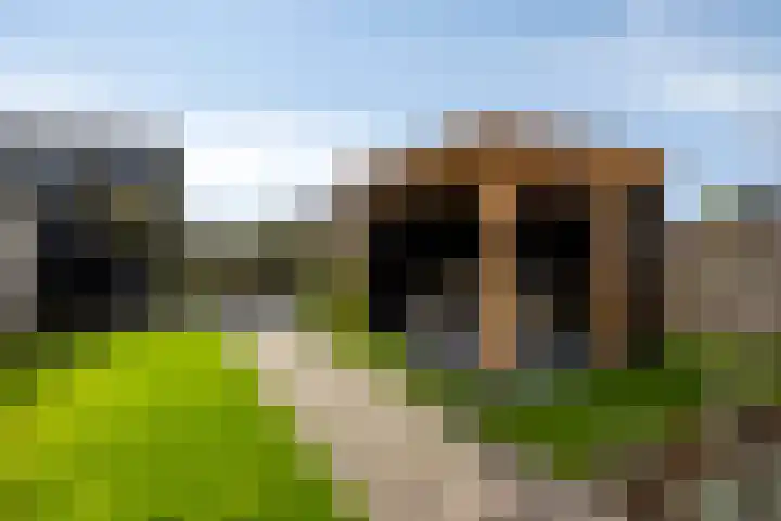 Griendweg 2 Nieuw-Beijerland thumbnail 27