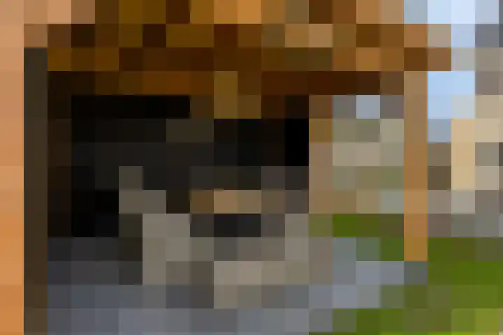 Griendweg 2 Nieuw-Beijerland thumbnail 28