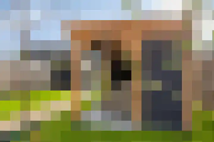 Griendweg 2 Nieuw-Beijerland thumbnail 29