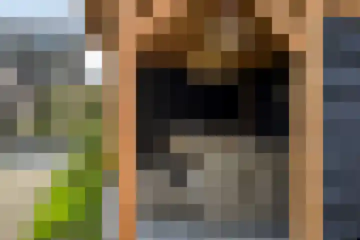 Griendweg 2 Nieuw-Beijerland thumbnail 30