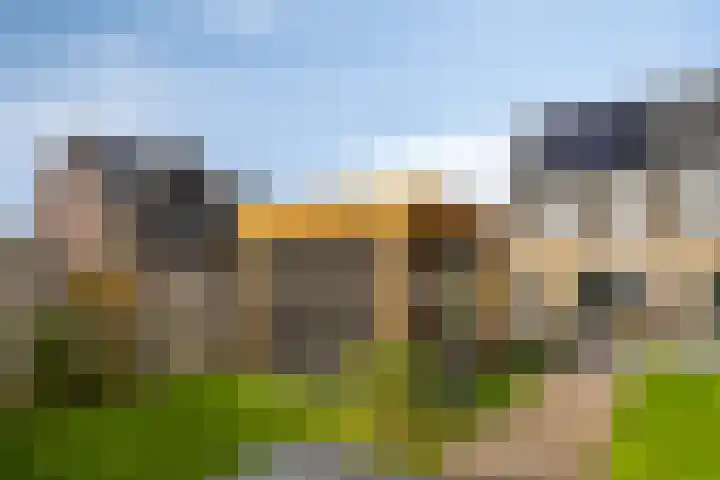 Griendweg 2 Nieuw-Beijerland thumbnail 32