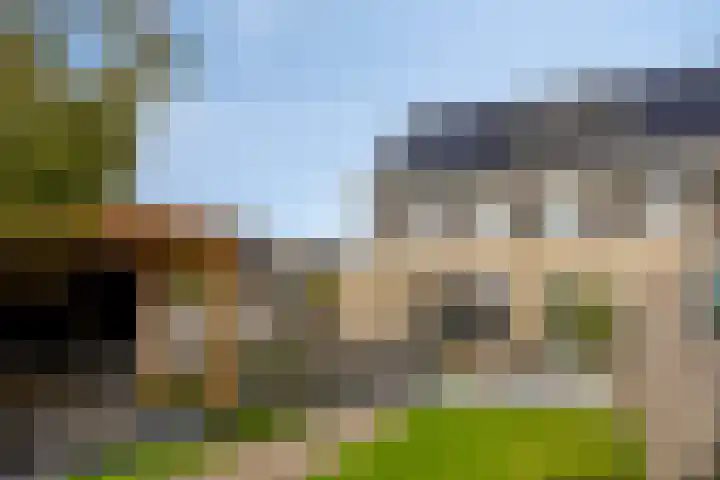 Griendweg 2 Nieuw-Beijerland thumbnail 33