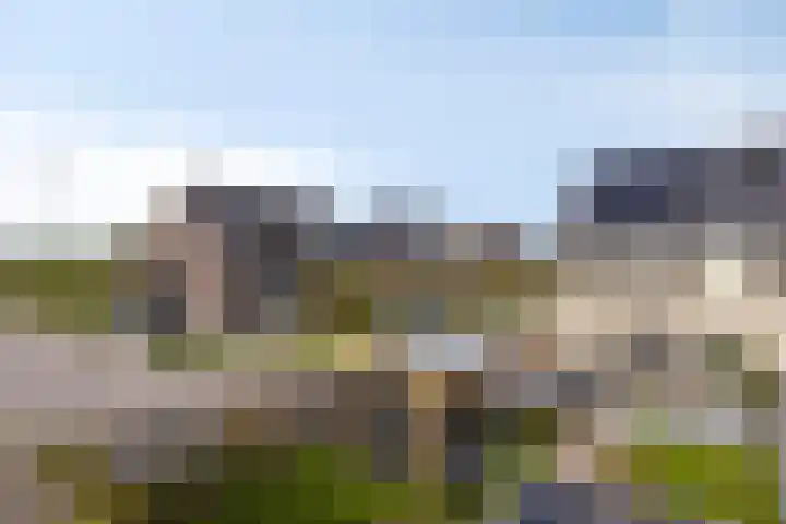 Griendweg 2 Nieuw-Beijerland thumbnail 34