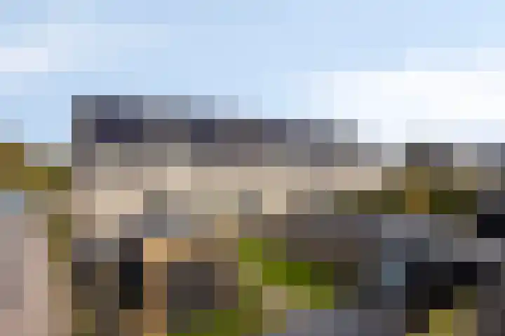 Griendweg 2 Nieuw-Beijerland thumbnail 35
