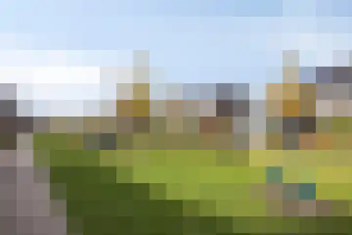 Griendweg 2 Nieuw-Beijerland thumbnail 40