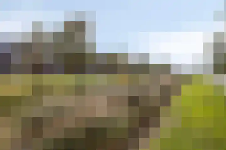 Griendweg 2 Nieuw-Beijerland thumbnail 41
