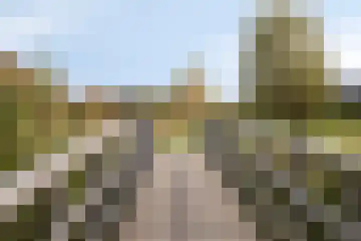 Griendweg 2 Nieuw-Beijerland thumbnail 42