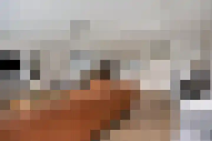 Griendweg 2 Nieuw-Beijerland thumbnail 5