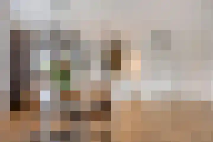 Griendweg 2 Nieuw-Beijerland thumbnail 6