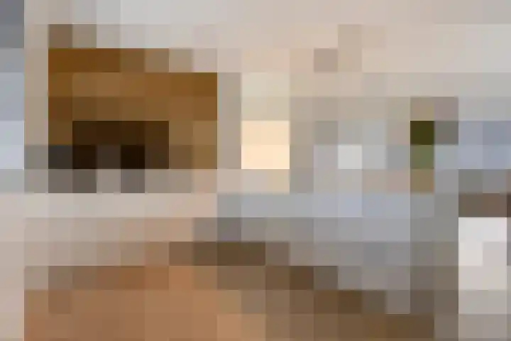 Griendweg 2 Nieuw-Beijerland thumbnail 8