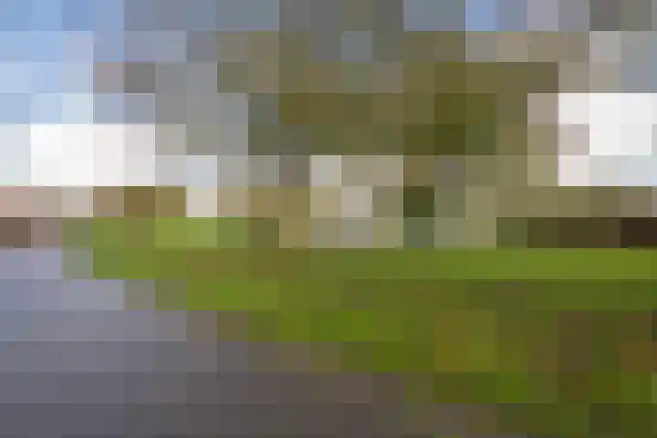 Griendweg 22 Dreumel thumbnail 101