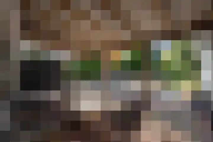 Griendweg 22 Dreumel thumbnail 13