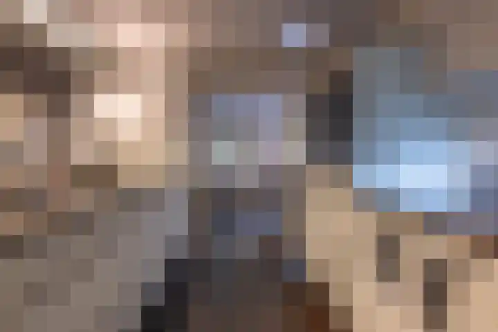Griendweg 22 Dreumel thumbnail 16