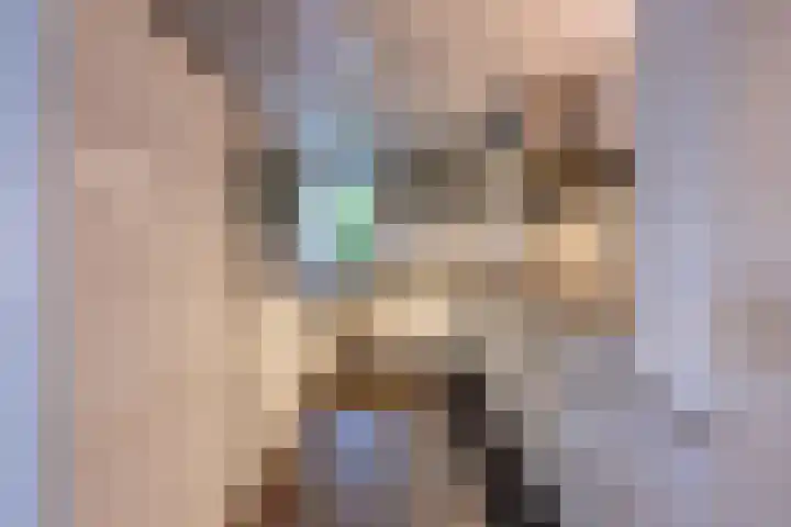 Griendweg 22 Dreumel thumbnail 17
