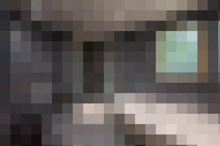 Griendweg 22 Dreumel thumbnail 21