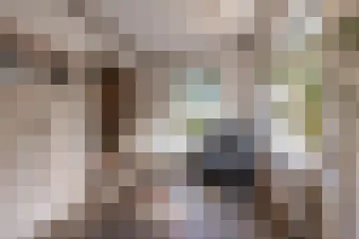 Griendweg 22 Dreumel thumbnail 28
